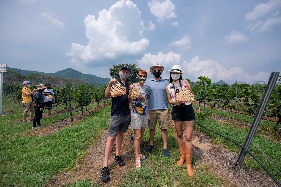 media of siamwinery