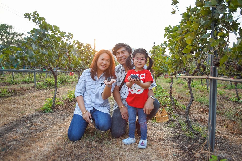 media of siamwinery