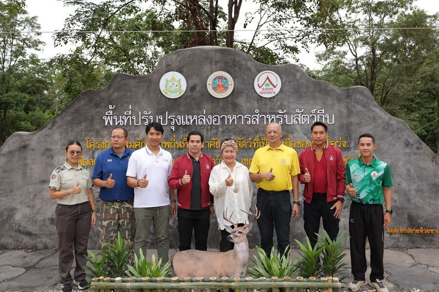 media of siamwinery
