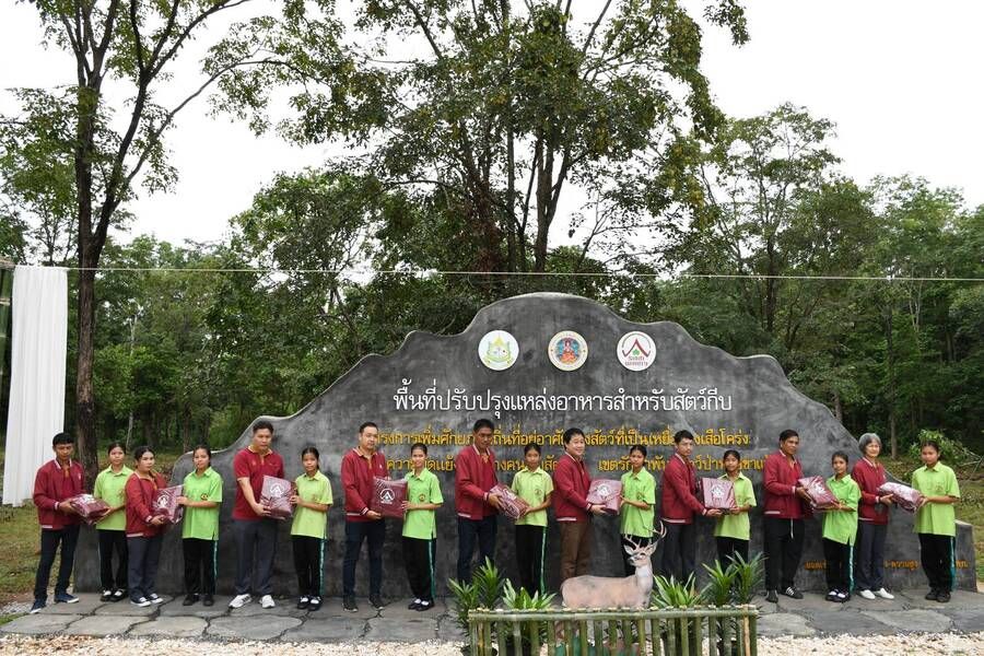 media of siamwinery