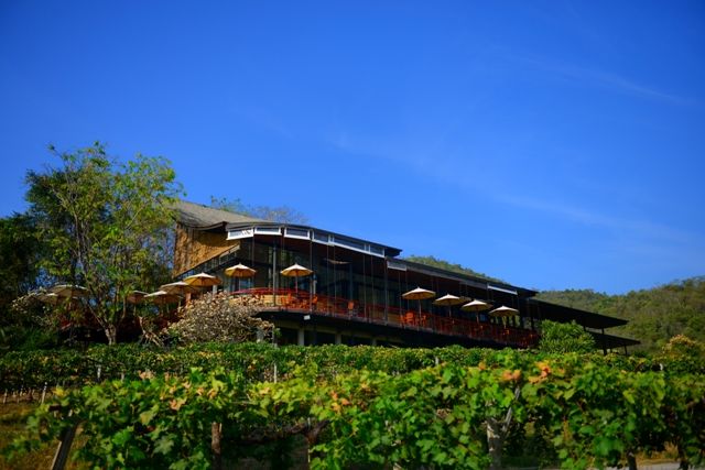 media of siamwinery