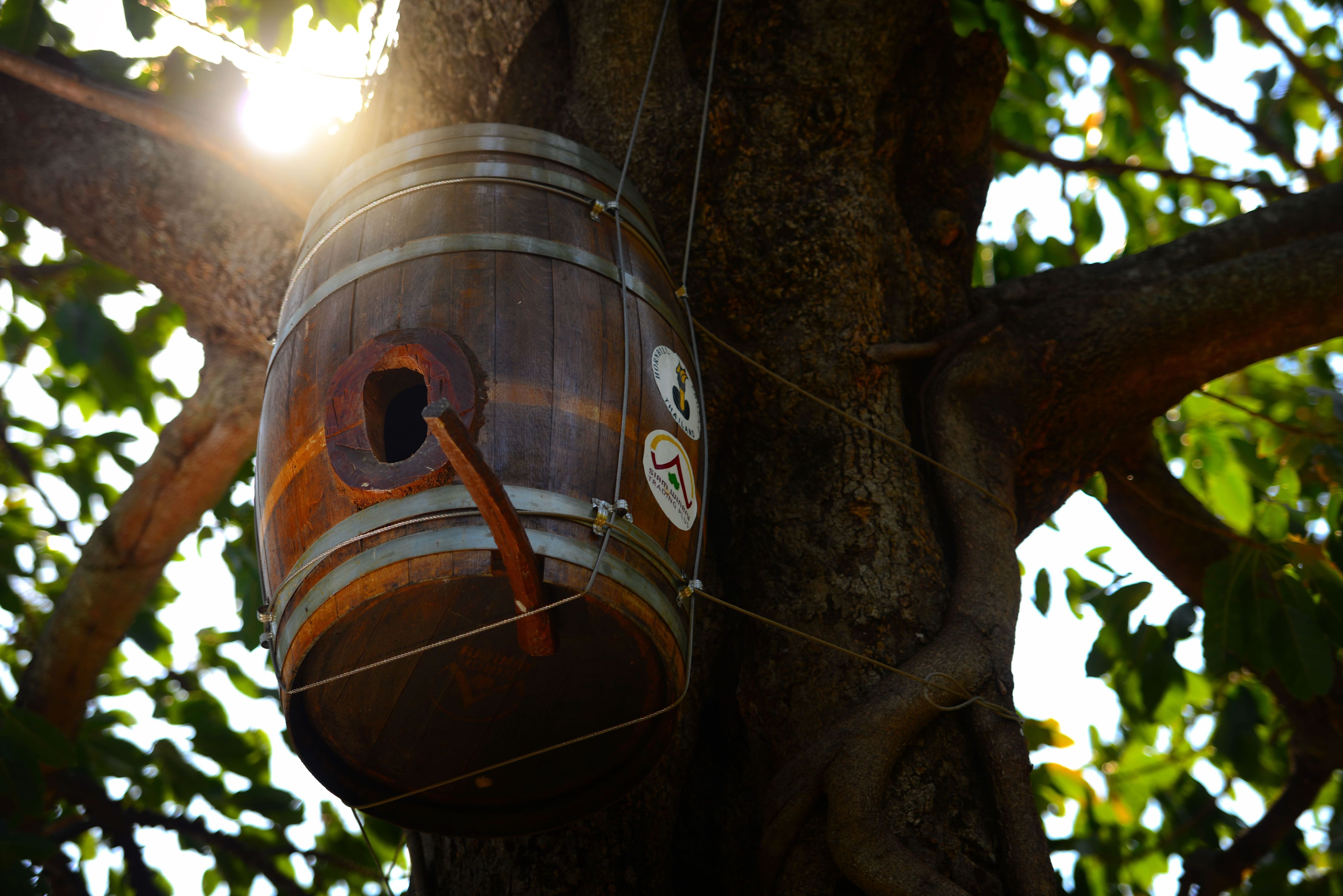 media of siamwinery