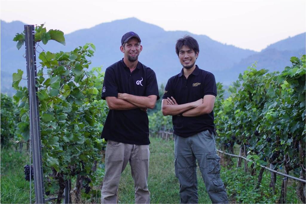 media of siamwinery