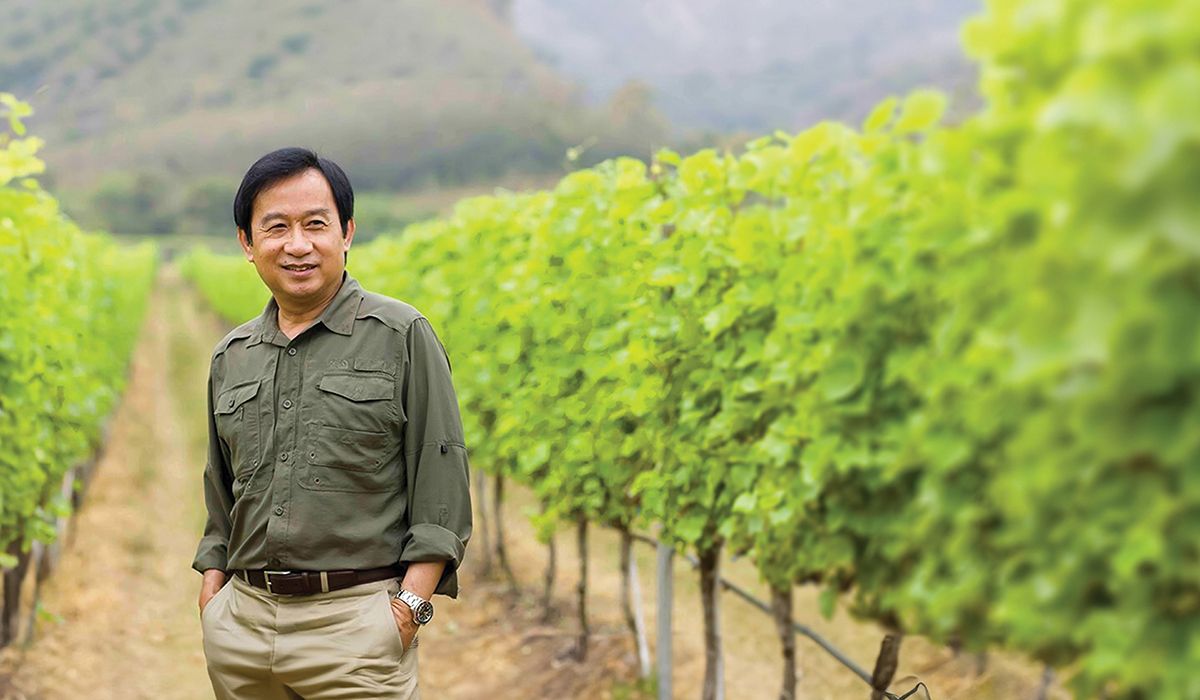 media of siamwinery
