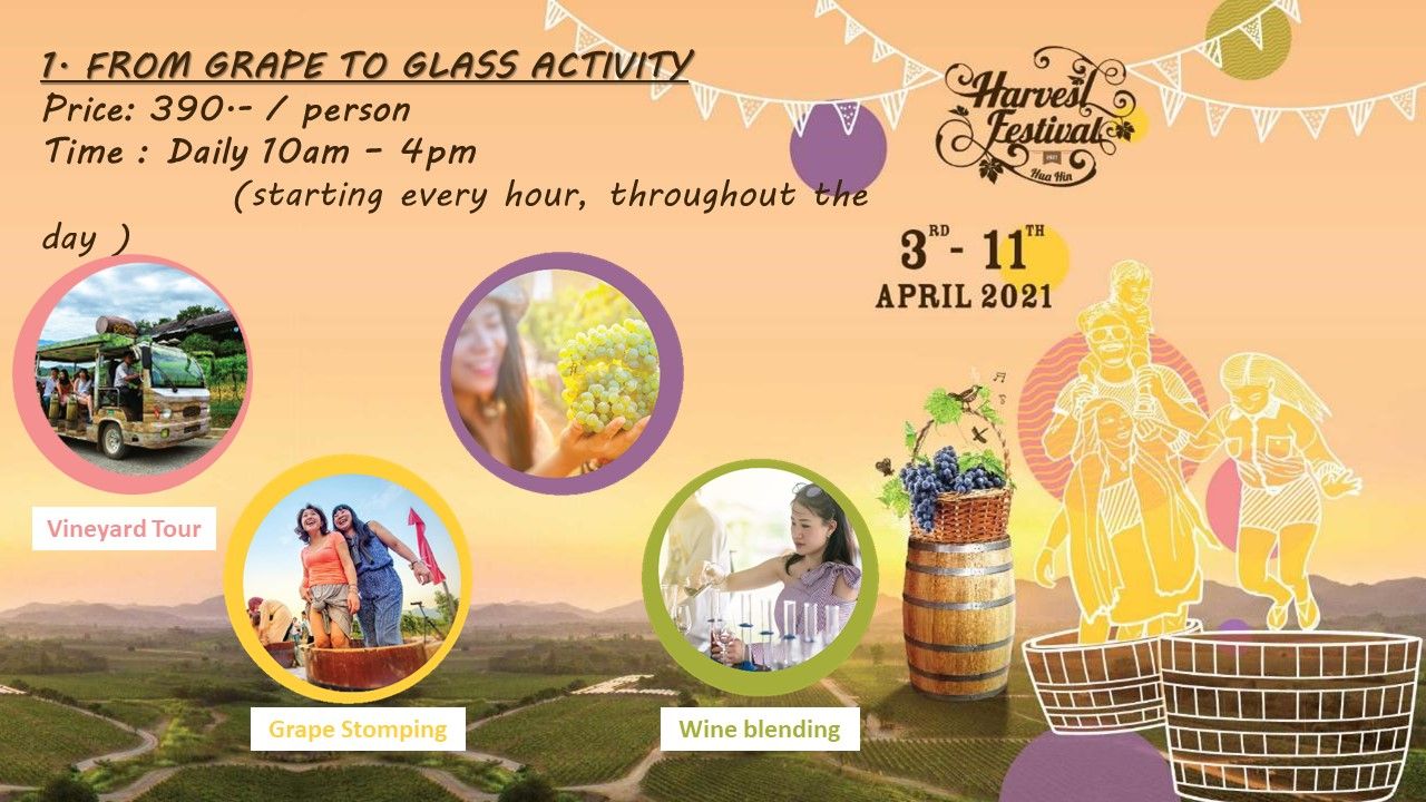 media of siamwinery