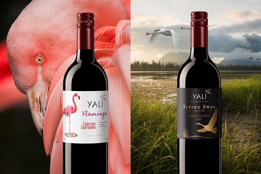 media of siamwinery