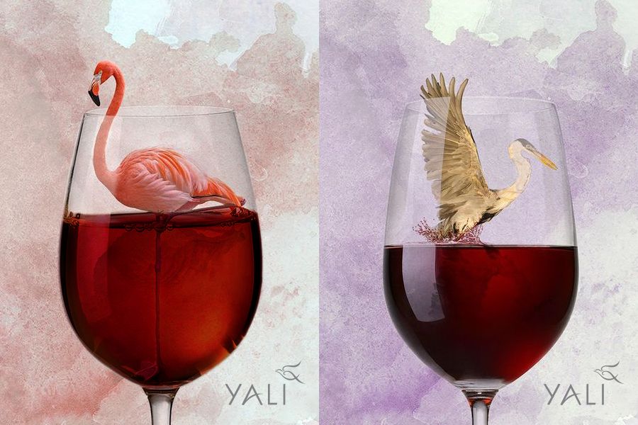 media of siamwinery