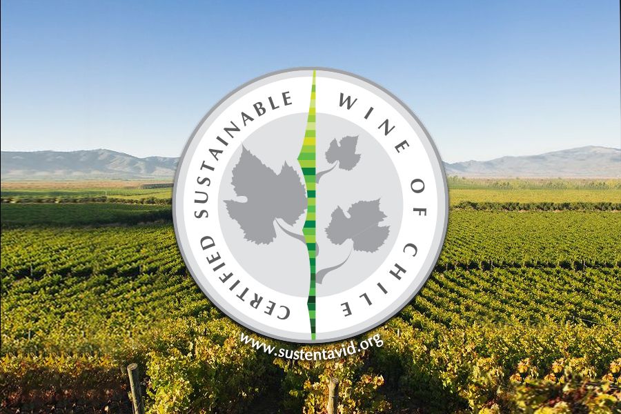 media of siamwinery