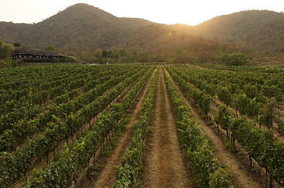 product of Thai Wine Monsoon Valley Experience