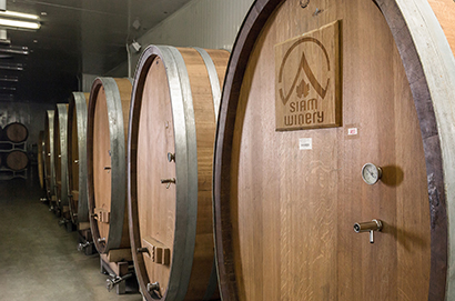 product of Siam Winery World of Wines Beginners Experience